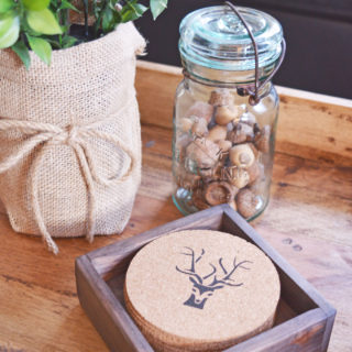 Deer antler DIY drink coasters in wood box with plant and mason jar on coffee table