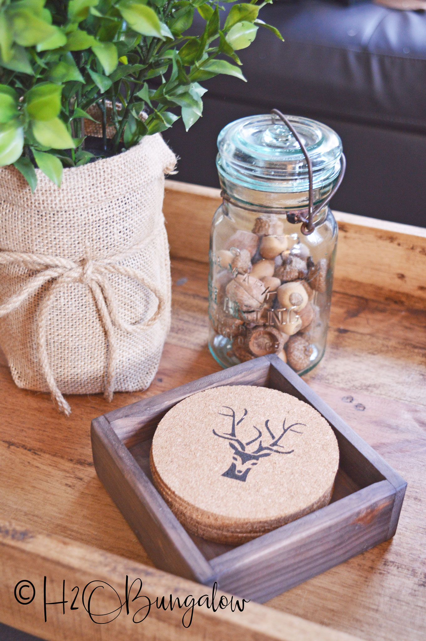 Deer antler DIY drink coasters in wood box with plant and mason jar on coffee table