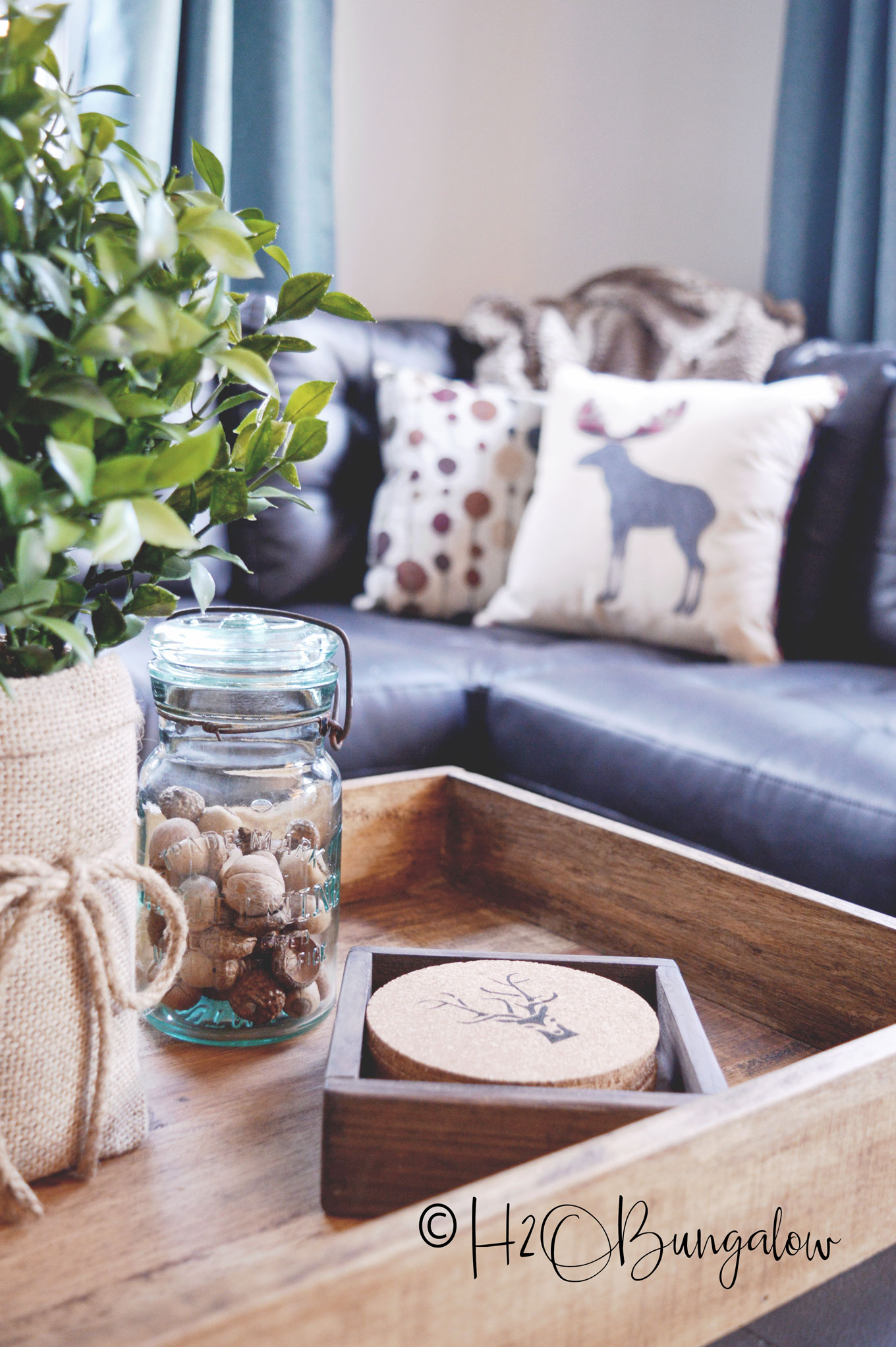 Deer antler DIY drink coasters in wood box with plant and mason jar on coffee table