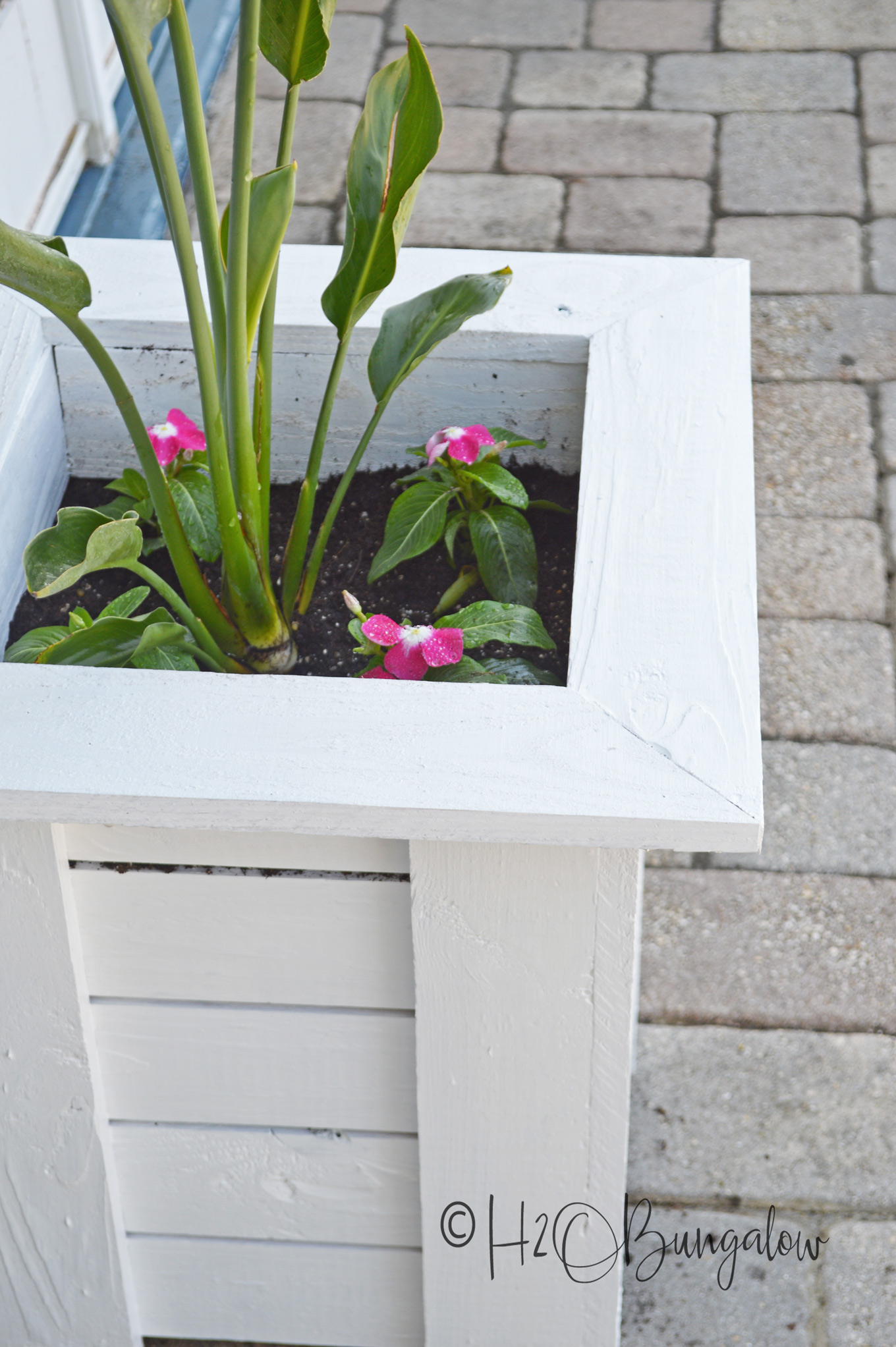 closeup of white Key West style planter with flowers. 