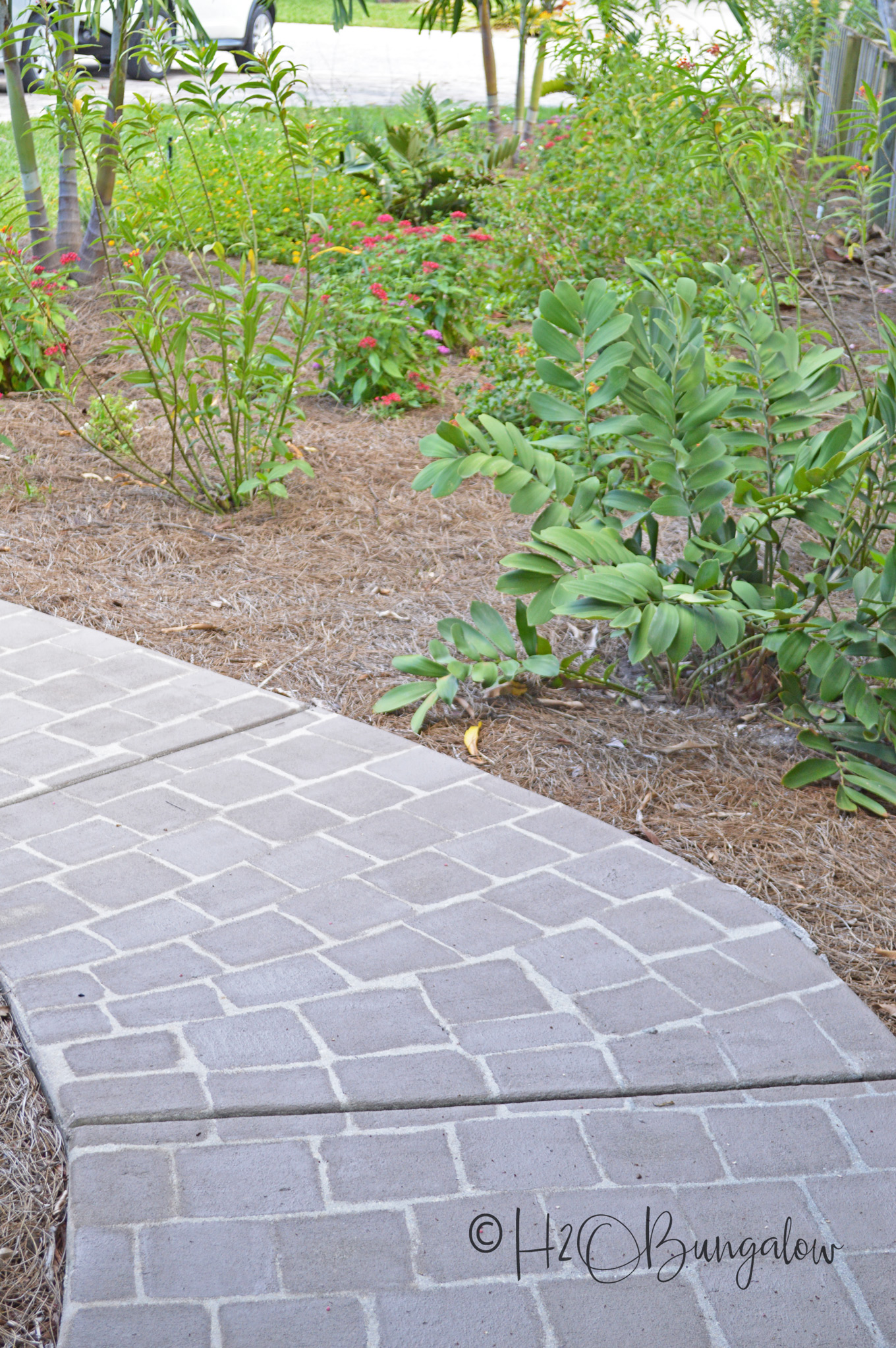 concrete walkway painted to look like concrete pavers.