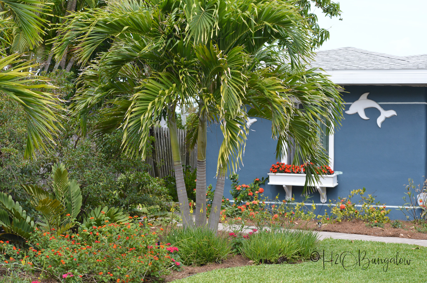 Welcome to the H2OBungalow Florida Spring Garden Tour. Spring has been brutal this year around the country, but not here on the west coast of Florida. My butterfly garden is full of monarch butterflies, flowers and lush greenery. Our Florida late spring garden is a lot like a summer garden elsewhere in the country.