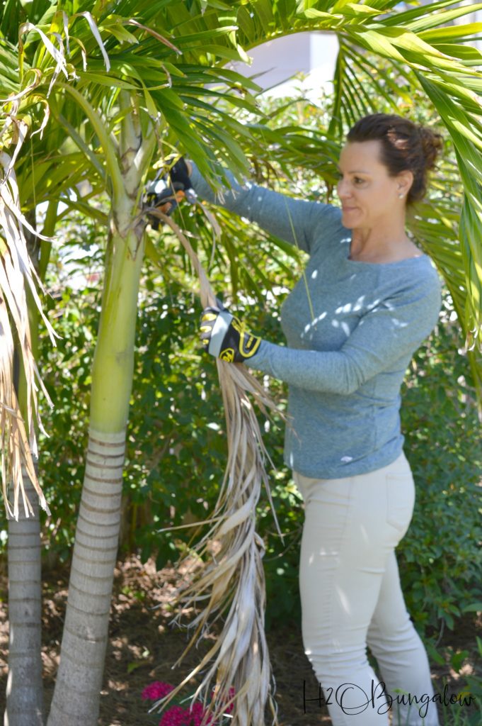 10 Spring Lawn Care Tips for a Beautiful Summer Yard - H2OBungalow