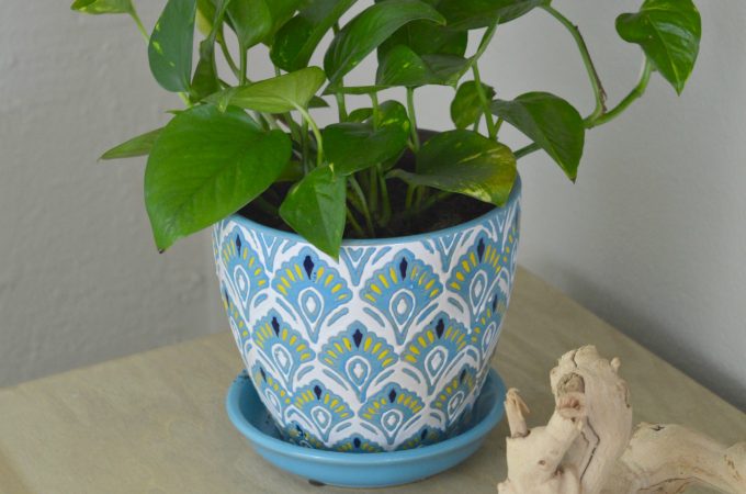 13 tough low light indoor plants that look great in any decor. Many of these low light plants are drought tolerant, and grow without much care. I've grouped these easy to grow hardy plants by vines, palms and other pretty indoor low light plants.
