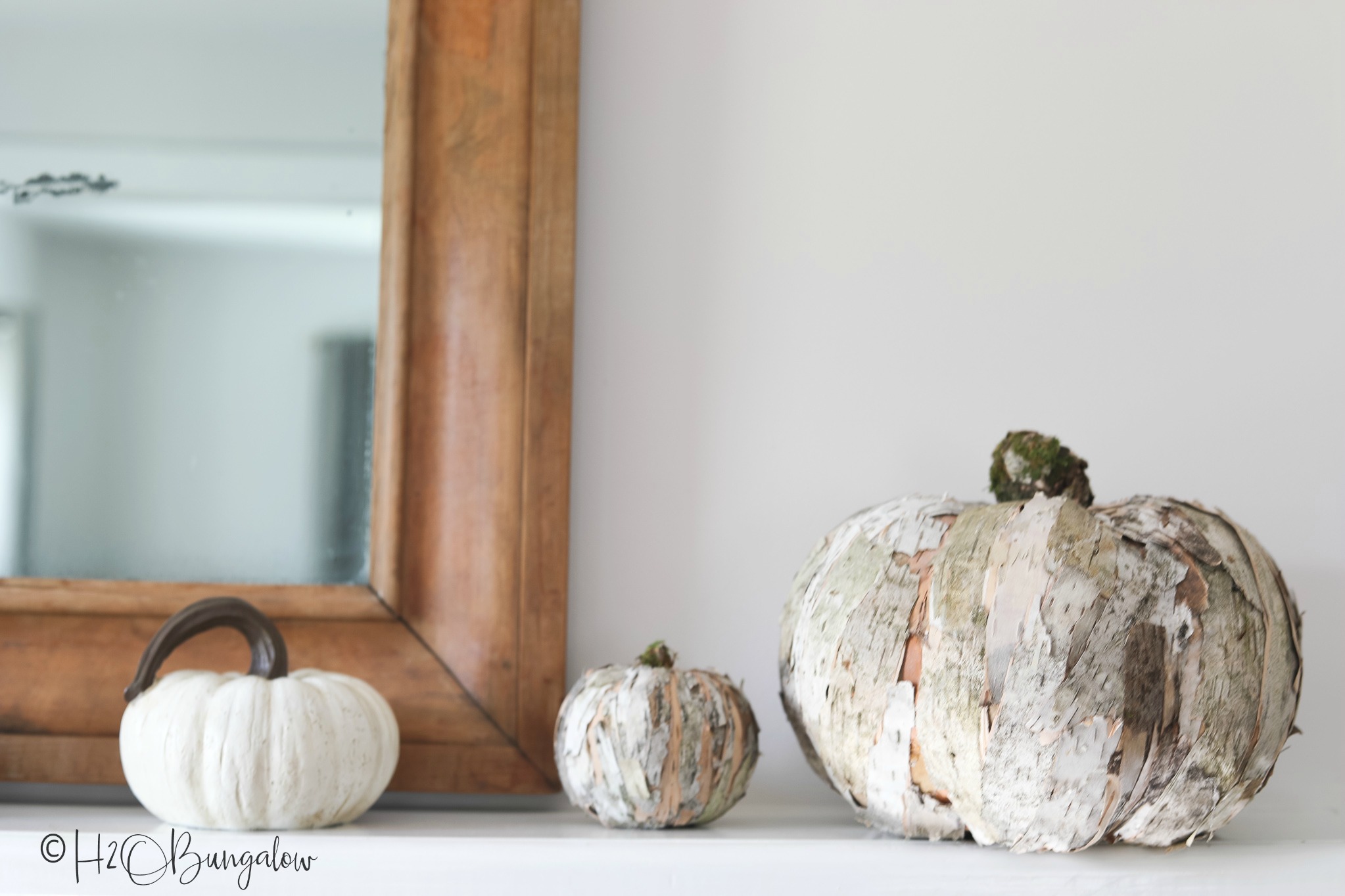 One large birch bark pumpkin and one small birch bark pumpkin sitting on console table with plain white pumpkin