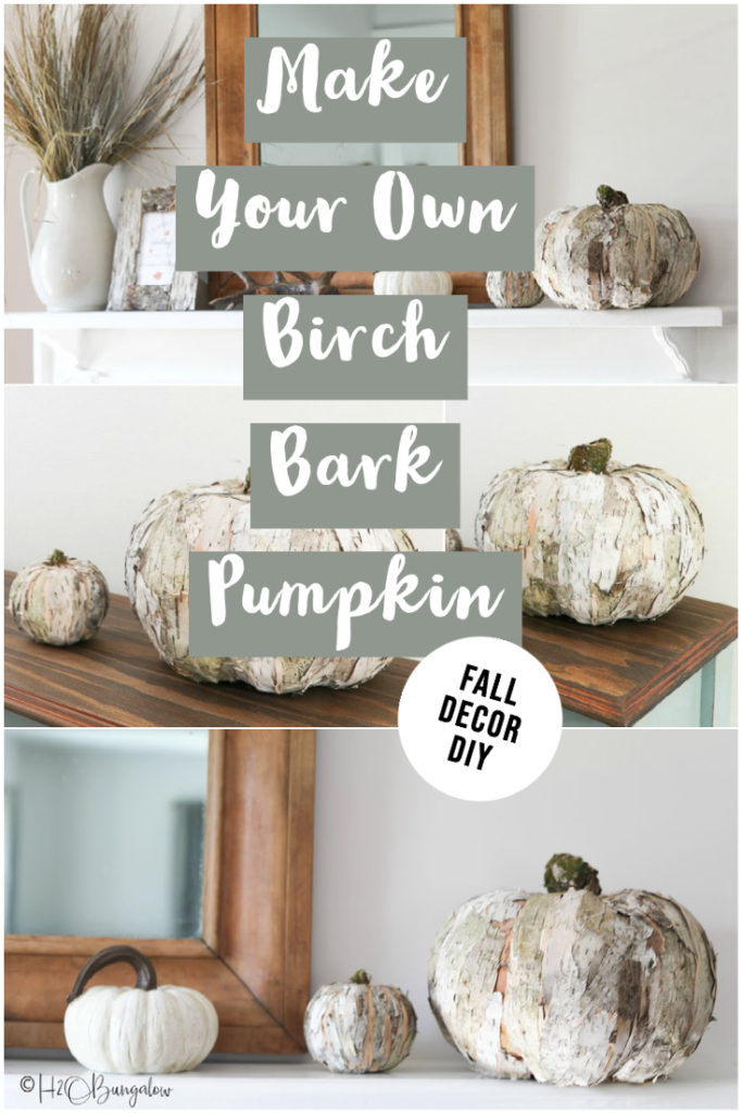 Make your own birch bark pumpkin image to pin to PIneterest