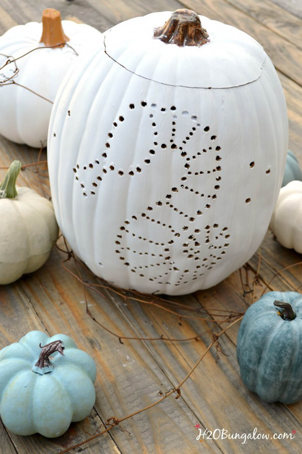 white pumpkin with seahorse carved with a drill