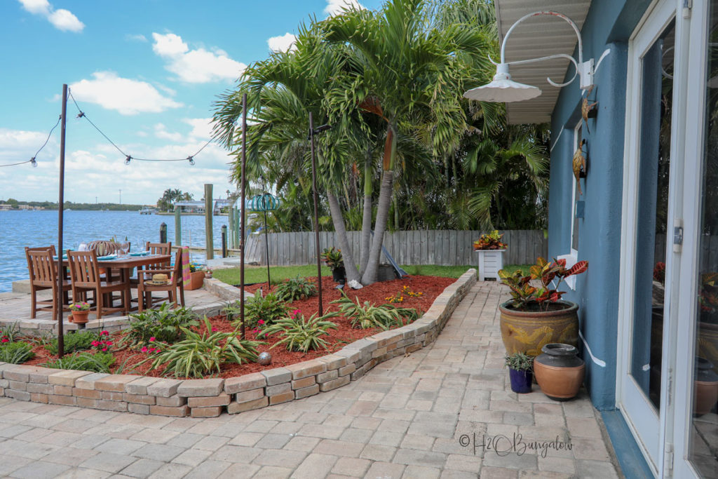 backyard makeover after planting plants in garden 