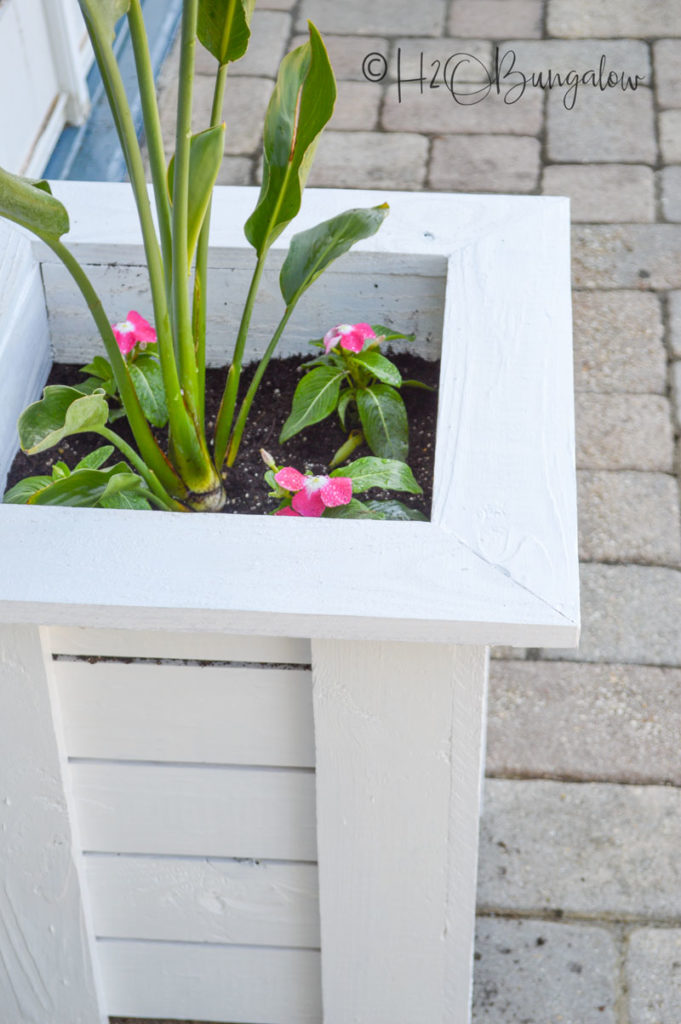 Wooden Planter Box built with free plans 