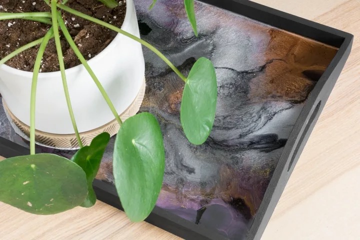 wood and resin serving tray with plant