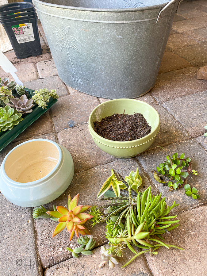 planting drilled ceramic and glazed plant containers with succulents 